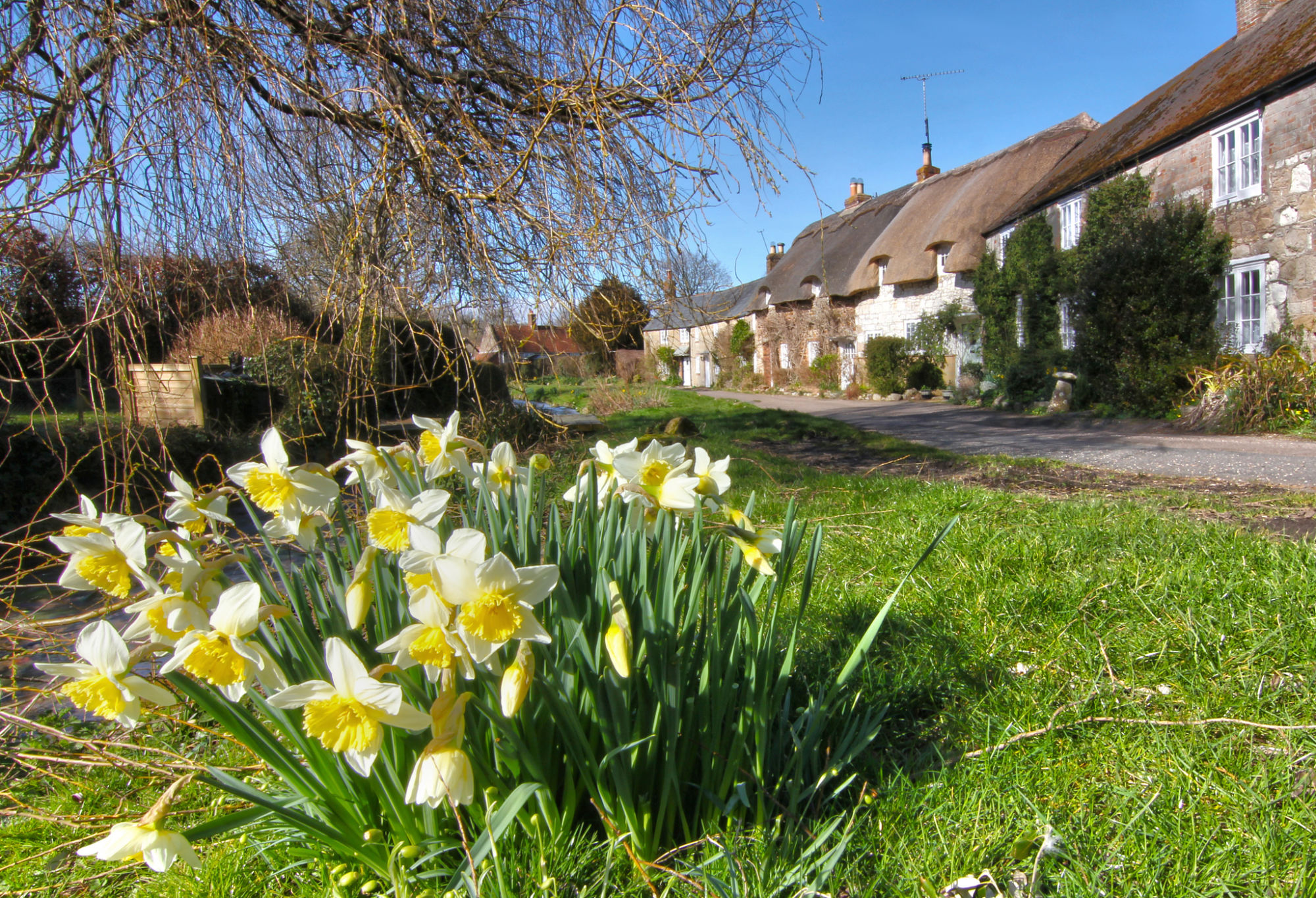 13487173734_ddc80f5c4b_k