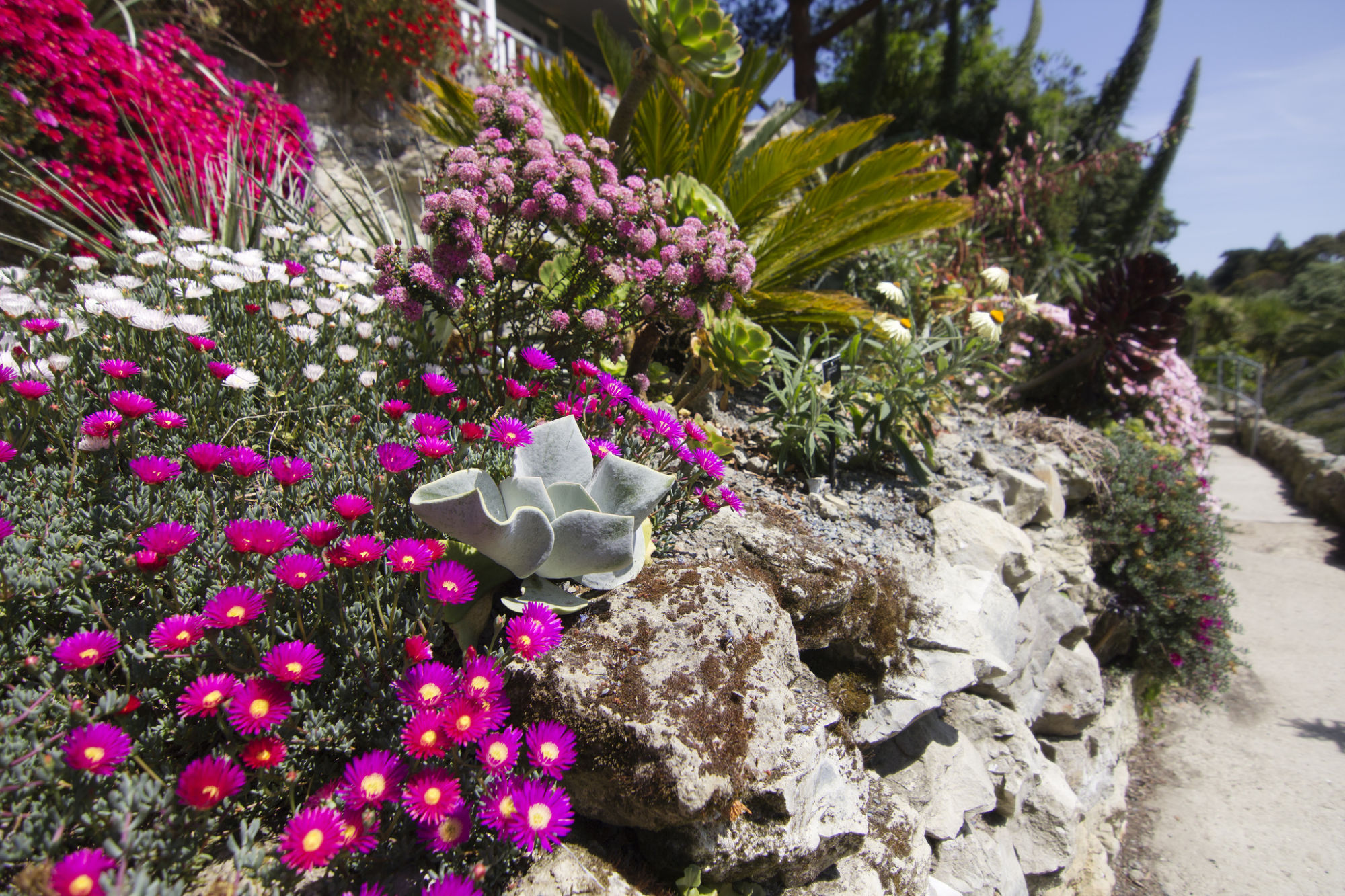 9266274094_ed87093624_k