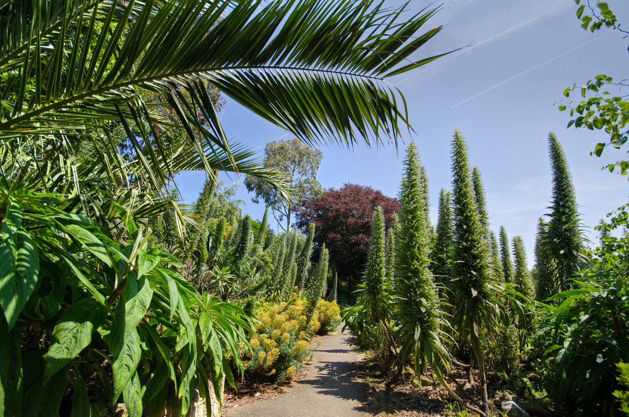 9273222355_36107a25c9_k